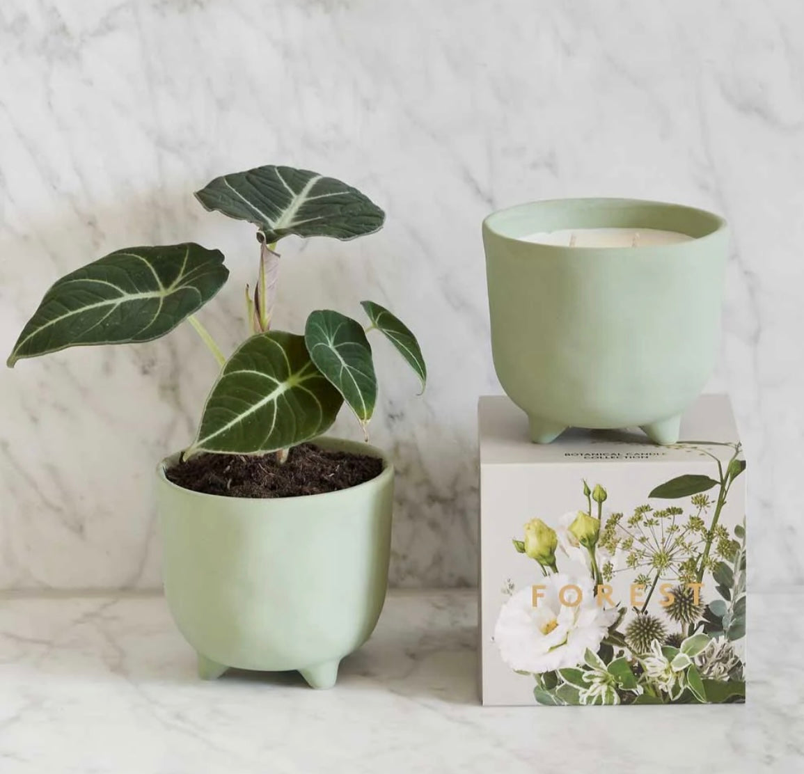 Myrtle & Moss FOREST Candle