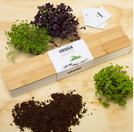 Urban Greens Microgreens Windowsill Box Kit