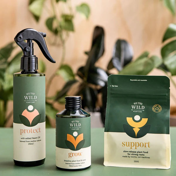 We the Wild Houseplant Essentials Trio