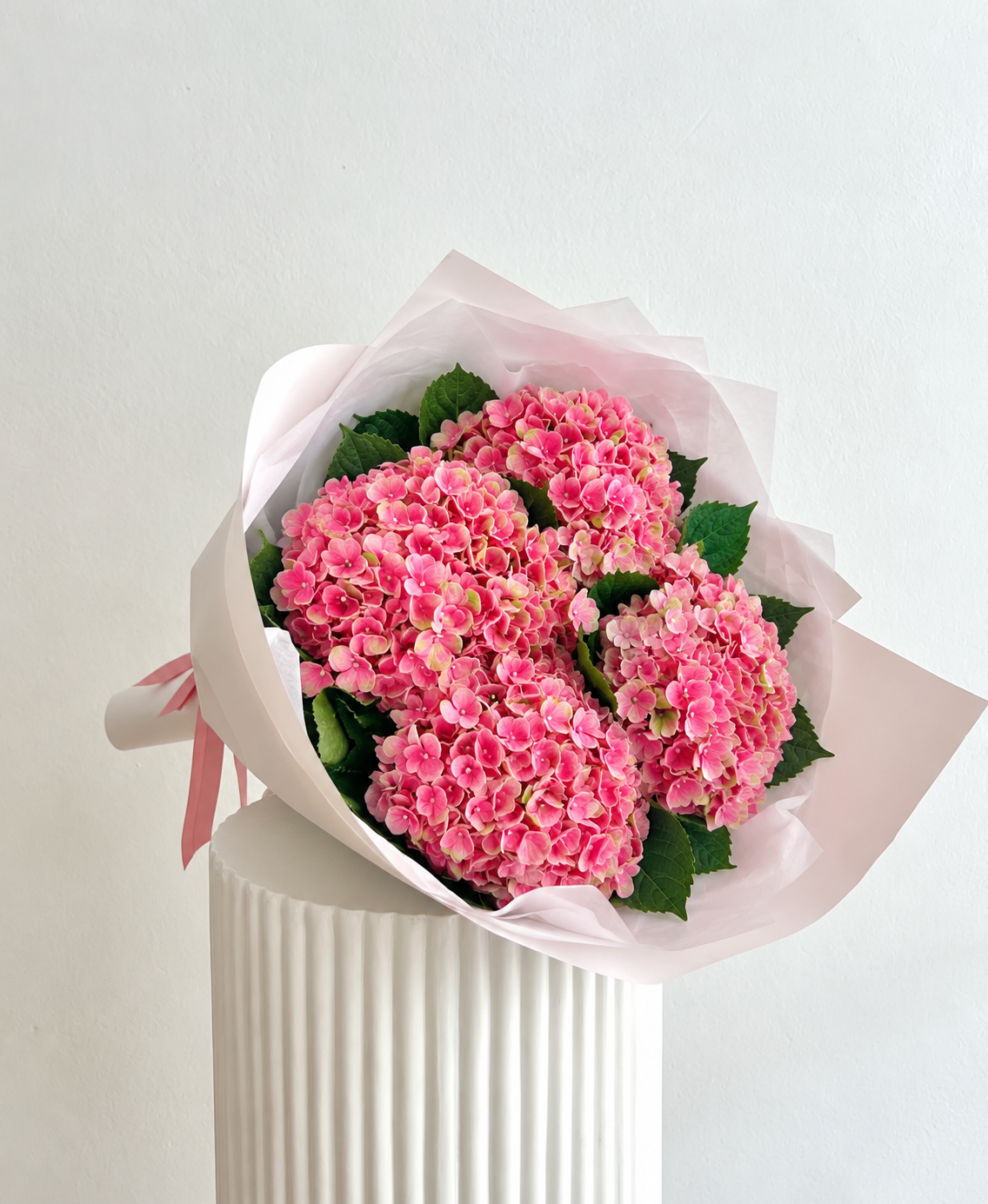 HYDRANGEA EN MASSE