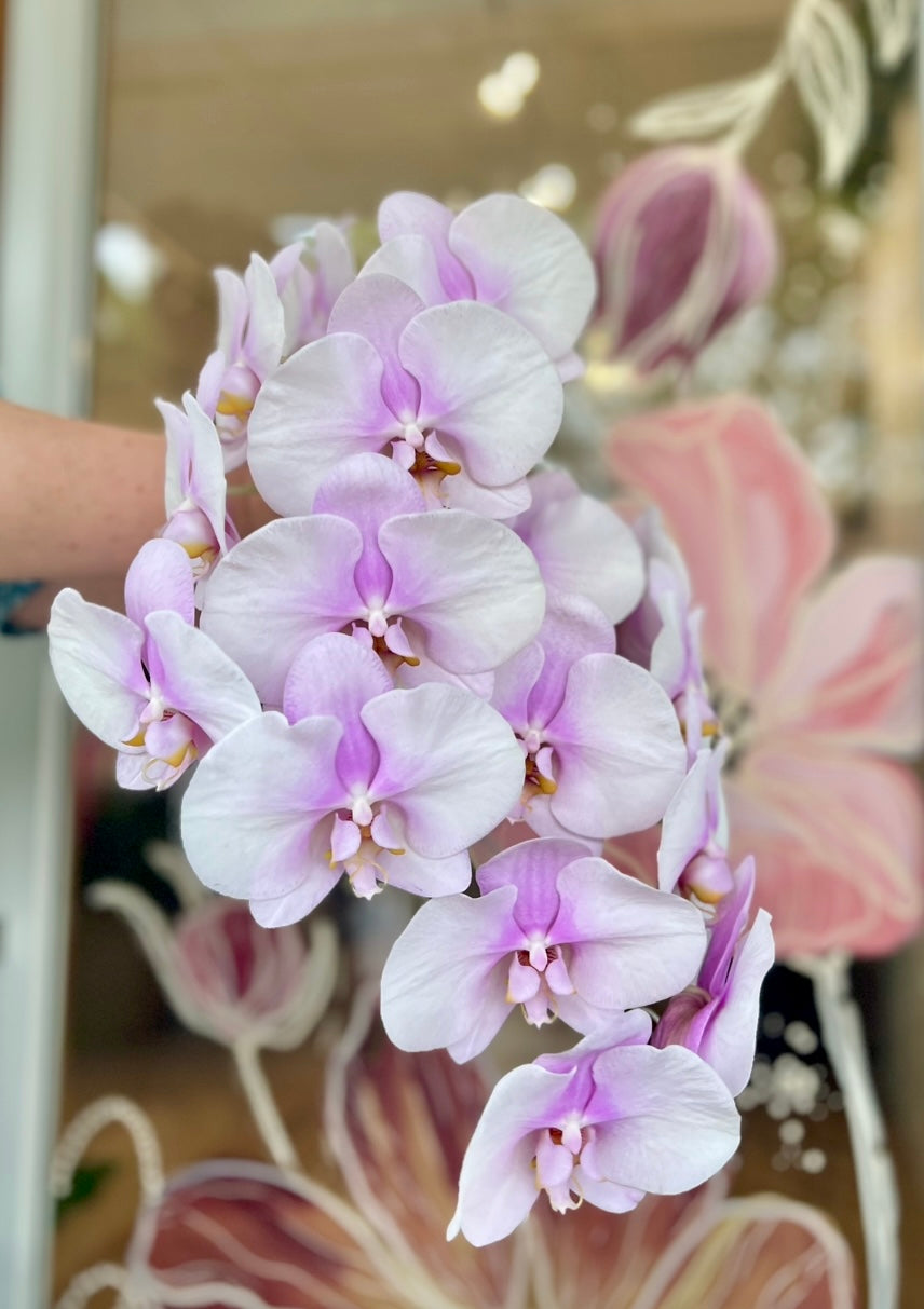 LUXURY ORCHIDS EN MASSE
