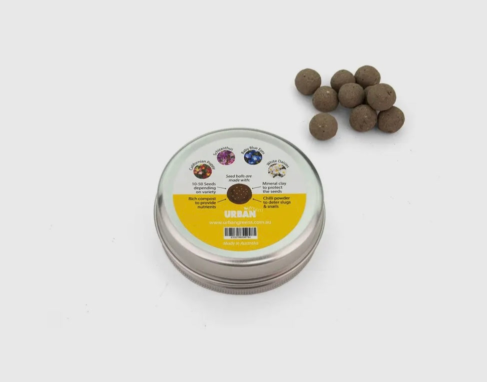 Urban Greens Bee Friendly Seed Balls