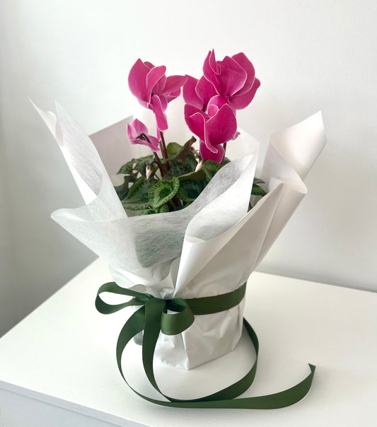 Seasonal flower bouquet delivered to Newmarket by Brisbane Northside florist Green Darling Flowers