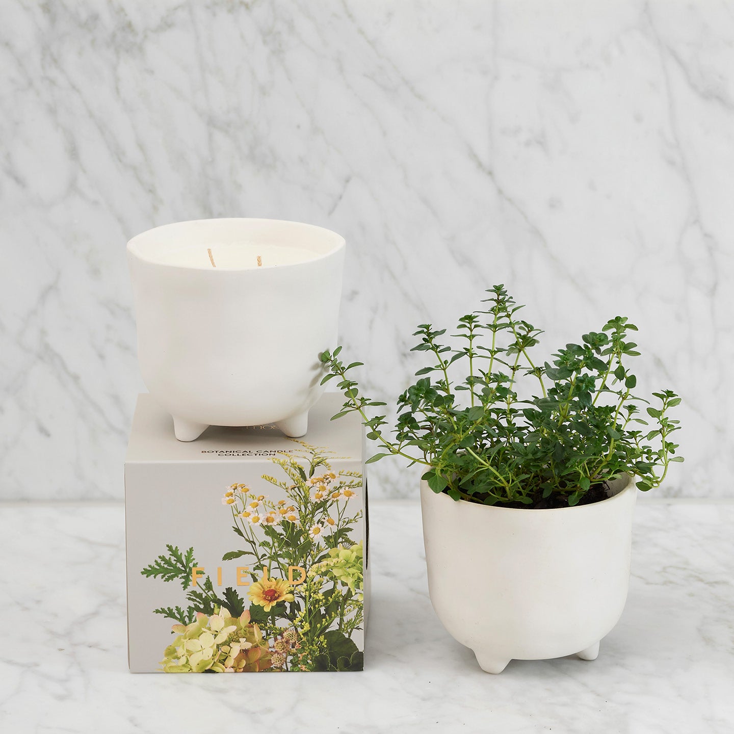 Myrtle & Moss FIELD Candle