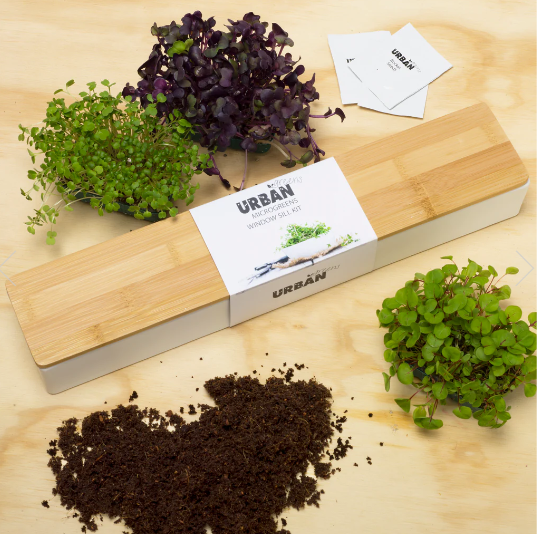 Microgreens Windowsill Box Kit